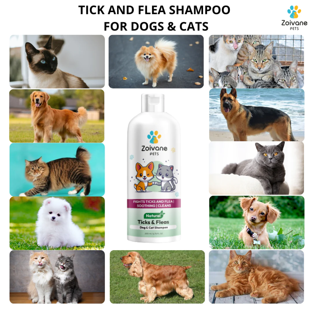 Zoivane Ticks and Flea Shampoo for Dogs and Cats (Citronella & Fresh)