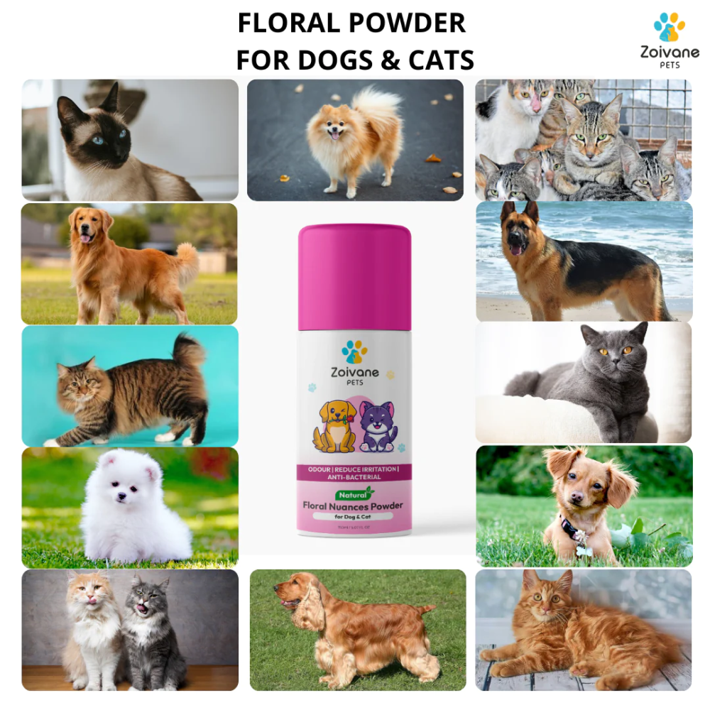 Zoivane Floral Nuances Powder for Dogs (Fresh Rose)
