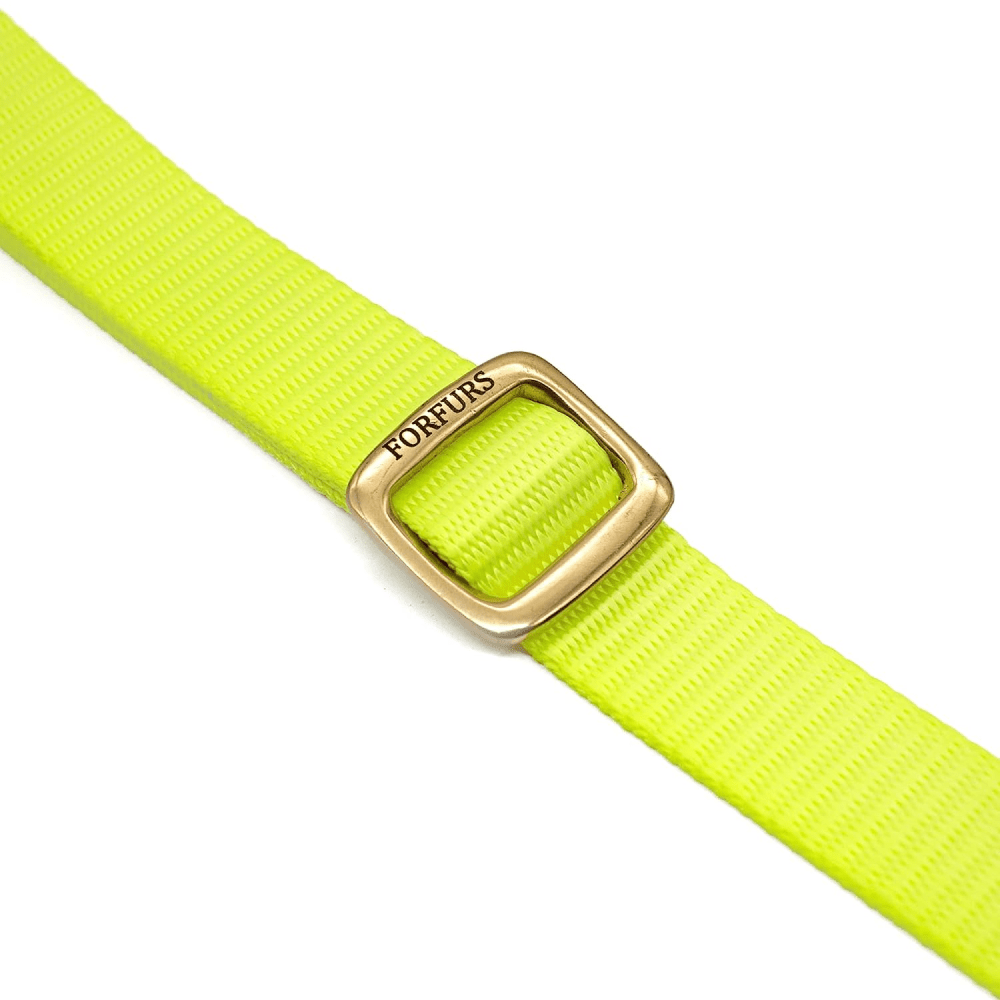 Forfurs Classic Snap Brass Hardware Collar for Dogs (Lime Green)