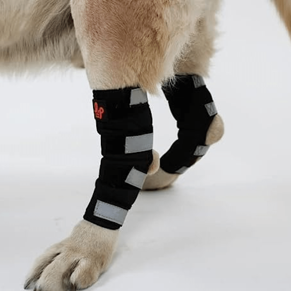 Splint For Rib Dog Buy Lana Paws Back Leg Splint Braces for Hock Joint Ankle Support ...