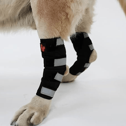 Lana Paws Back Leg Splint Braces for Hock Joint Ankle Support & Mobility for Dogs and Cats (Black)