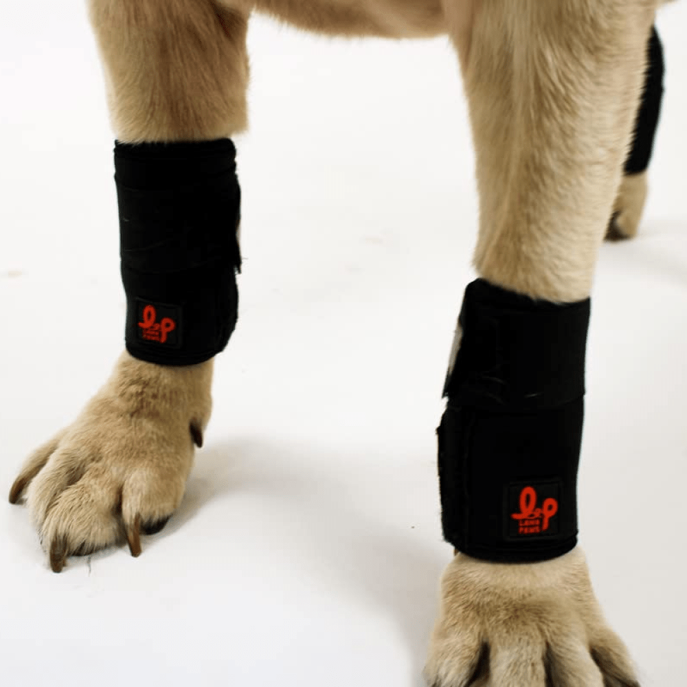 Short Leg Splint Manufacturer In India