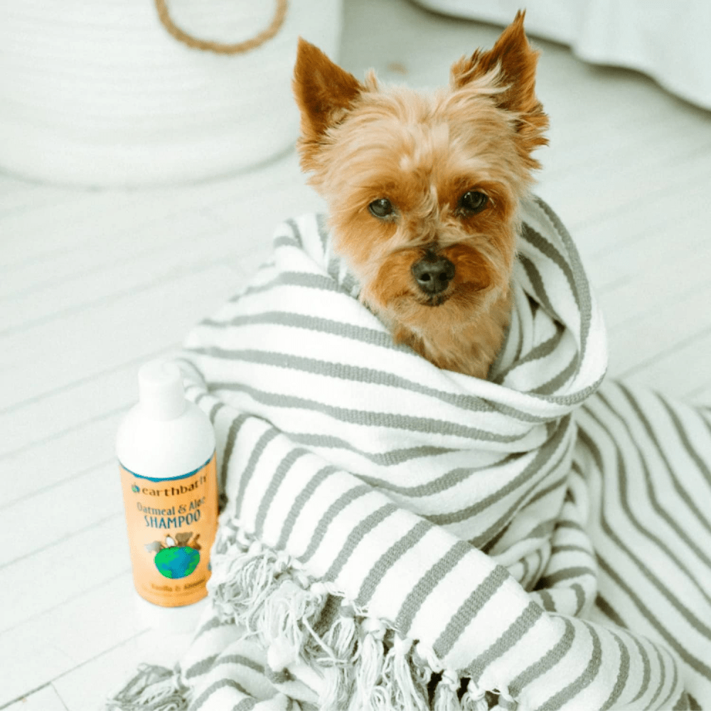 EarthBath Oatmeal & Aloe Shampoo Vanilla & Almond for Dogs and Cats Both-Grooming Supplies EarthBath