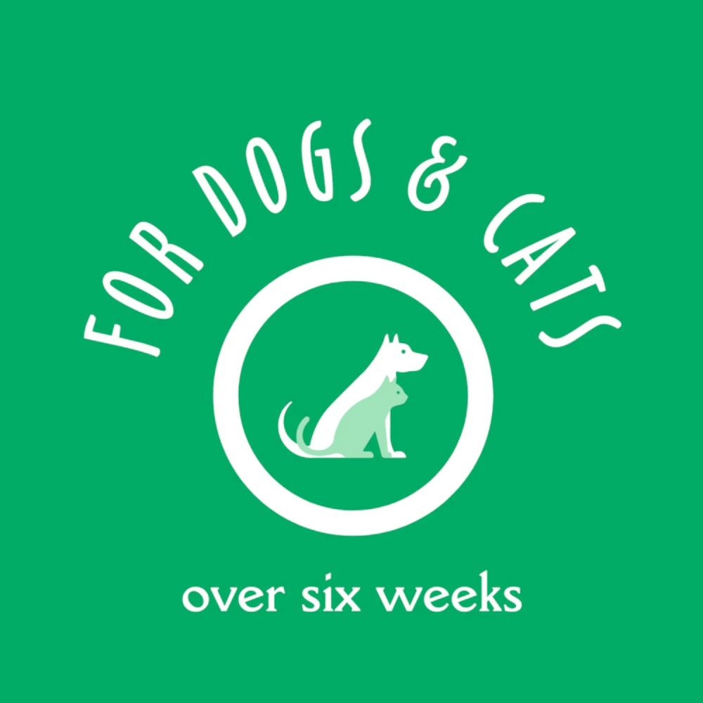 EarthBath Oatmeal & Aloe Shampoo Vanilla & Almond for Dogs and Cats Both-Grooming Supplies EarthBath