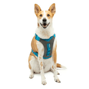 Kurgo Journey Air Harness for Dogs (Coastal Blue)