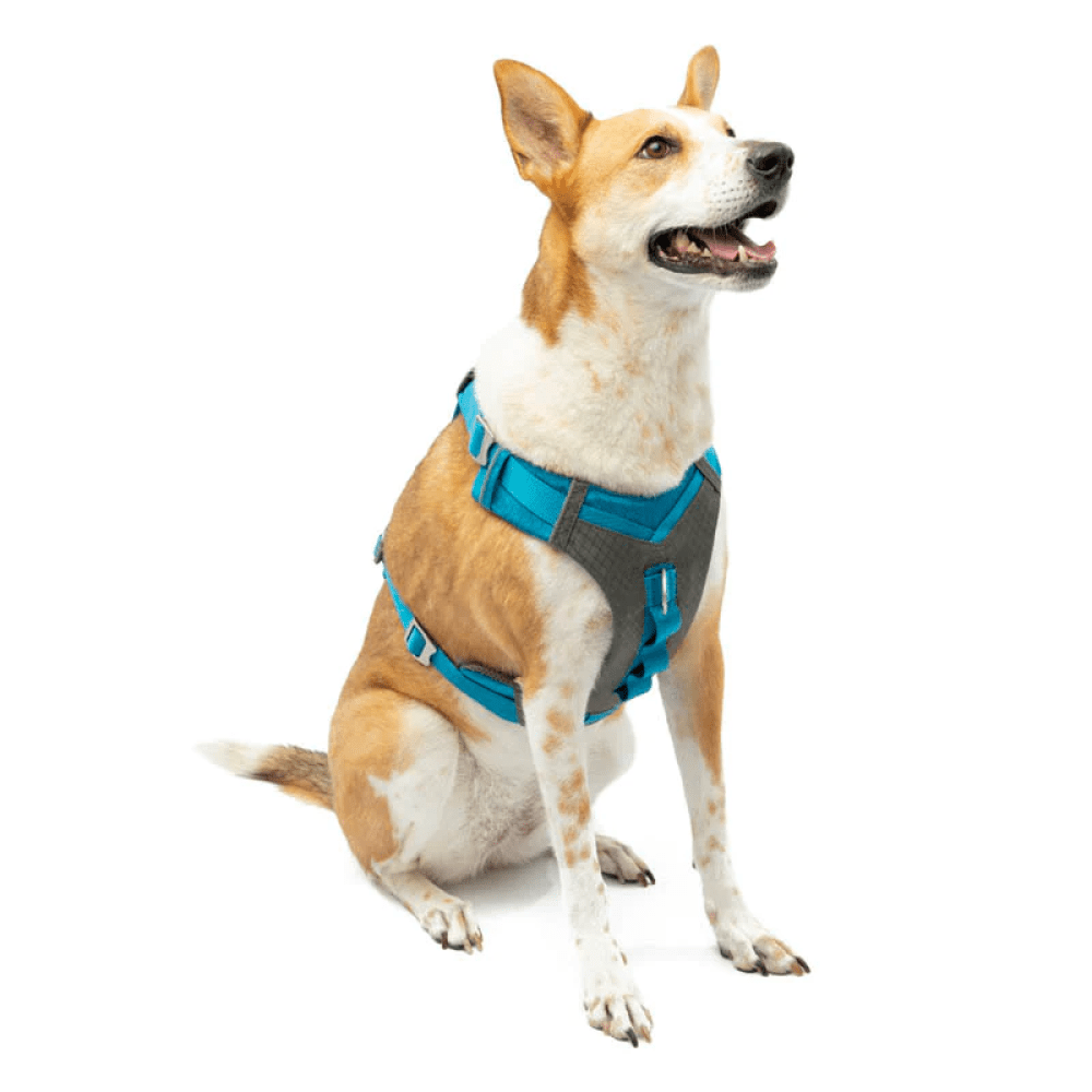 Kurgo Journey Air Harness for Dogs (Coastal Blue)