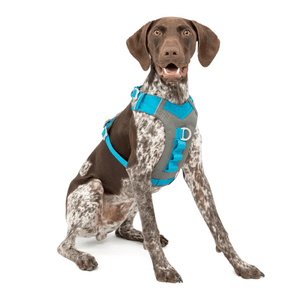 Kurgo Journey Air Harness for Dogs (Coastal Blue)