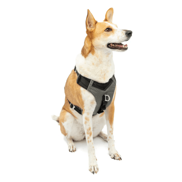 Kurgo Journey Air Harness for Dogs (Black/Gargoyle Grey)