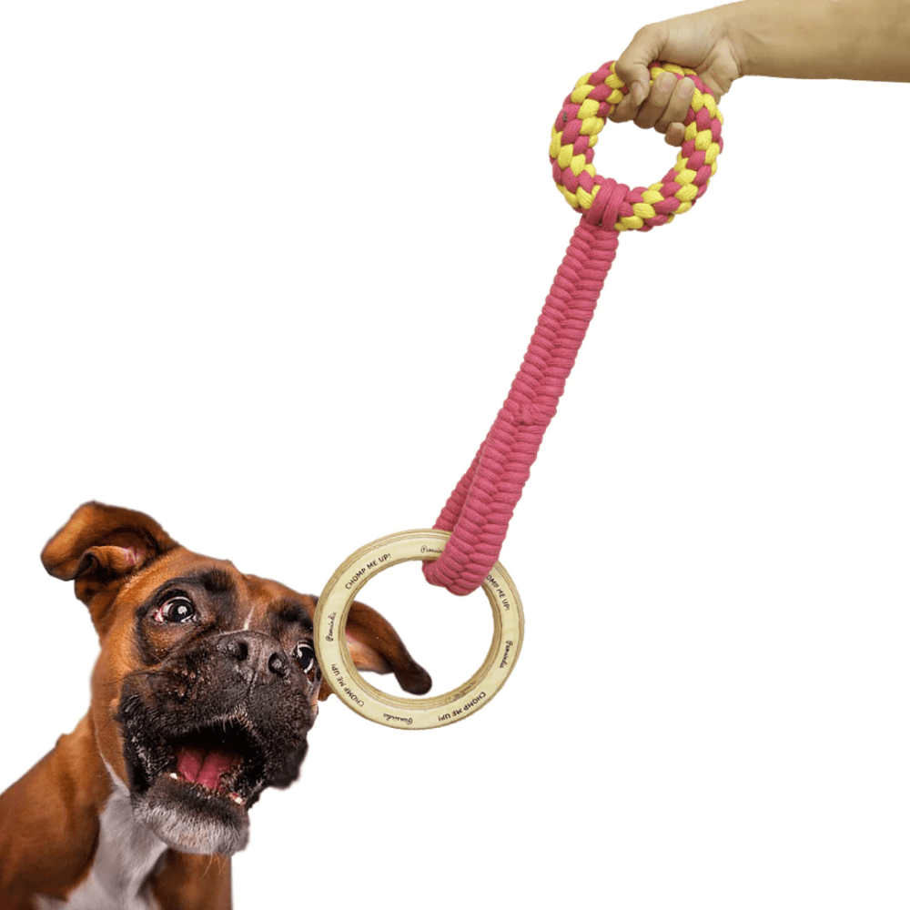 Pawsindia Wooden Ring Rope Toy for Dogs (Pink)