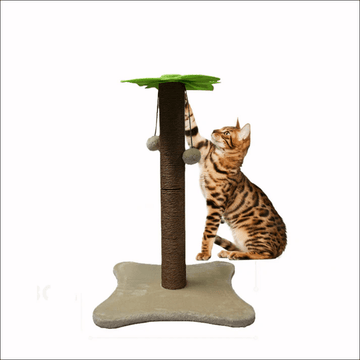 Basil Coconut Tree Toy for Kittens & Cats (Green/Brown)