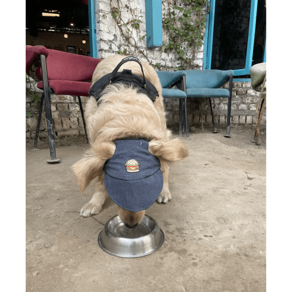 Pawgypets Cap for Dogs and Cats (Denim)