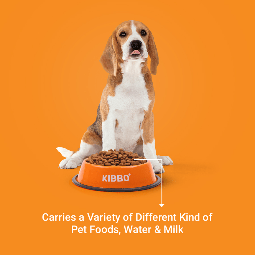 Kibbo Anti Skid Stainless Steel Bowl for Dogs and Cats (Orange) Both-Bowls & Feeders Kibbo