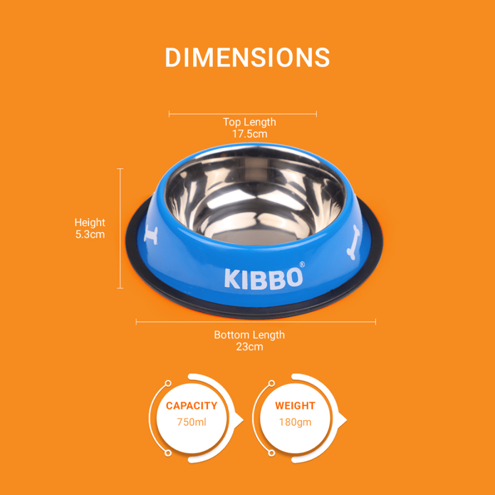 Kibbo Anti Skid Stainless Steel Printed Bowl for Dogs and Cats (Blue)