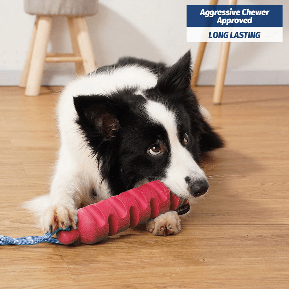 Pawsindia Ultimate Chew Stick Toy for Dogs (Pink)