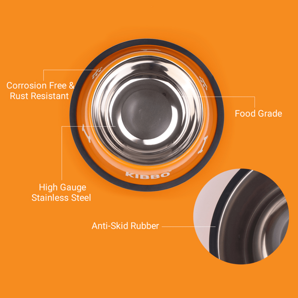 Kibbo Anti Skid Stainless Steel Printed Bowls for Dogs and Cats (Orange, Green, Blue)