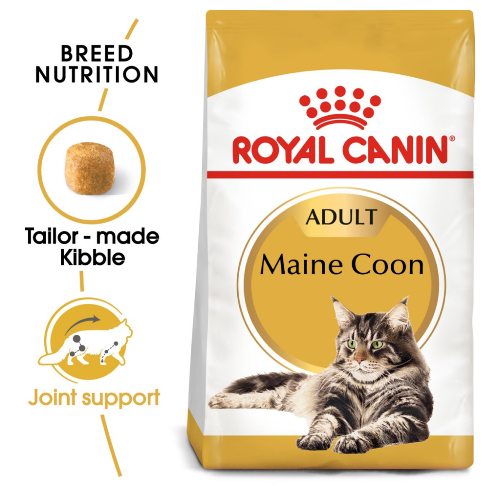 Royal Canin Maine Coon Adult Cat Dry Food