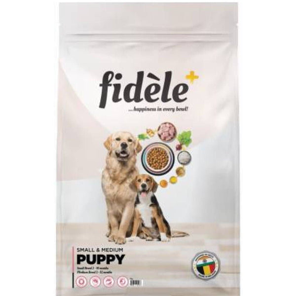 Fidele Plus Small and Medium Puppy Dry Food (70g)