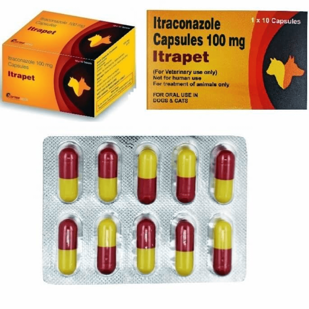 Corise Itrapet 100mg Capsules (Itraconazole) for Dogs and Cats Both-Pharmacy Corise Pharmacy 1 strip (10 tablets)