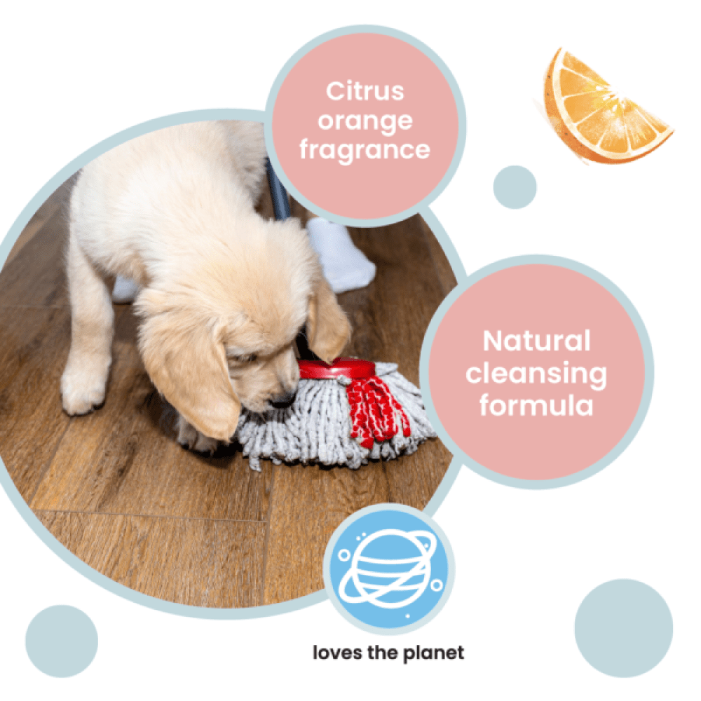 Koparo Clean Natural Citrus Orange Fragrance Kennel Wash ( Pet Safe)