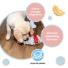 Koparo Clean Natural Citrus Orange Fragrance Kennel Wash (Pet Safe)