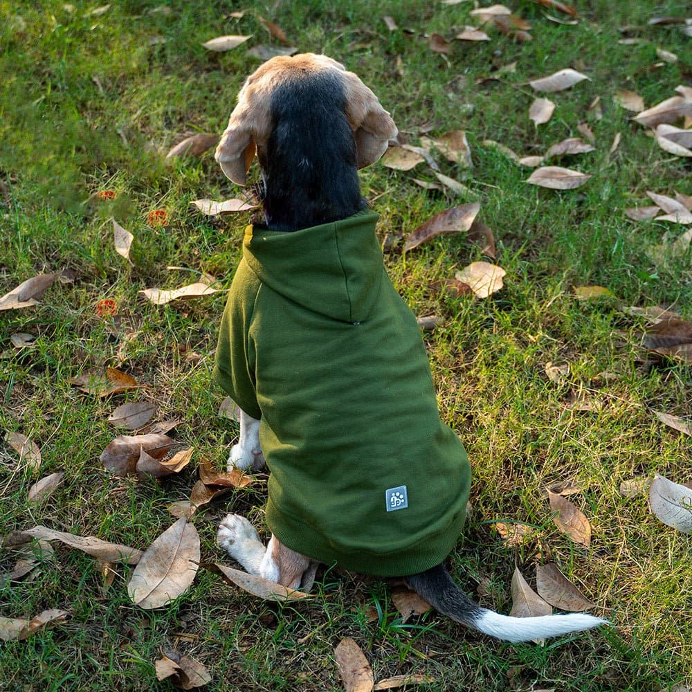 Dear Pet Sweatshirt for Dogs (Olive)