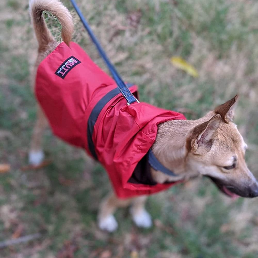 Mutt of Course Red Raincoat For Dogs