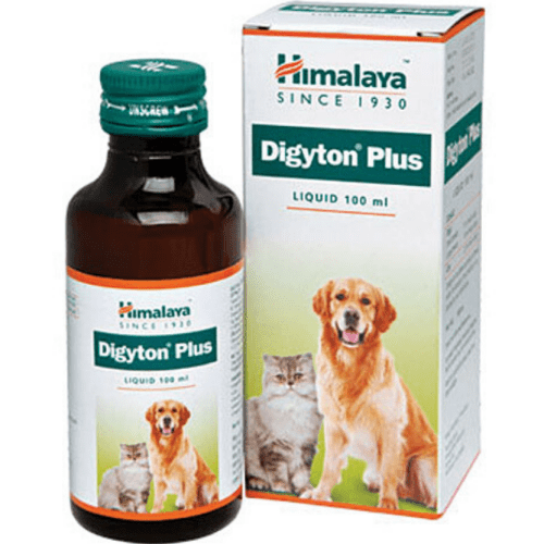 Himalaya Digestive Stimulant Digyton Plus Syrup for Dogs and Cats Rewards Both-Health & Wellness Himalaya 100mL