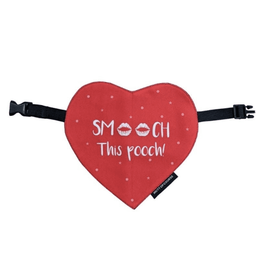 Mutt of Course Smooch This Pooch Bandana for Dogs