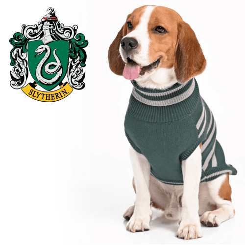 Buy Harry Potter Slytherin Sweater for Dogs Online Supertails
