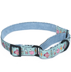 Harry Potter Potions In Motions Martingale Collar for Dogs