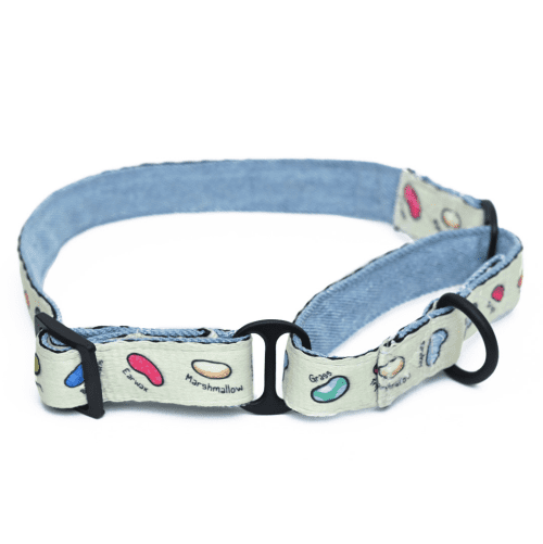 Harry Potter Every Flavour Bean Martingale Dog Collar