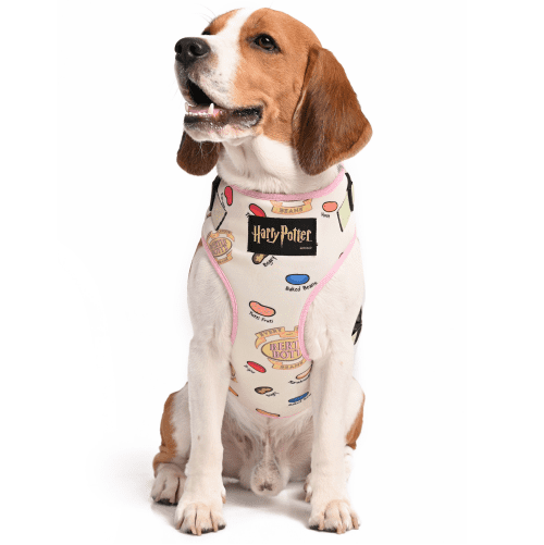Harry Potter Every Flavour Bean Dog Harness