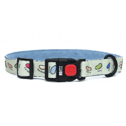 Harry Potter Every Flavour Bean Dog Collar