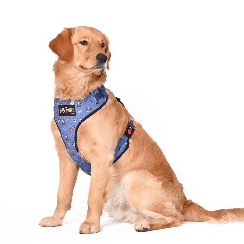 Harry Potter Welcome To Hogwarts Dog Harness