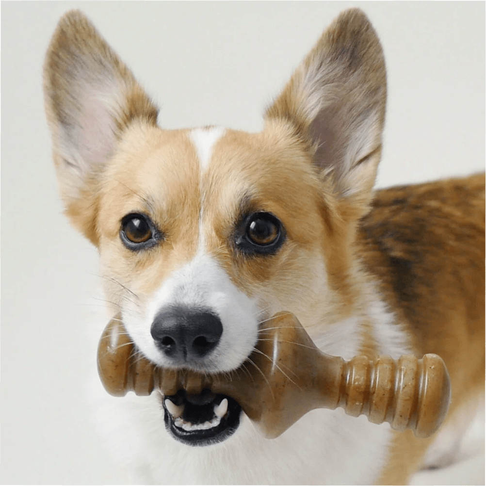 Benebone Bacon Butter Flavored Zaggler Rolling Chew Toy for Dogs