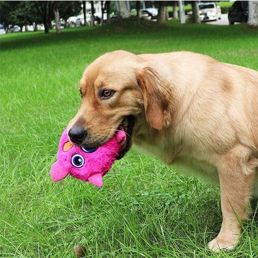 Pawsindia Trembling Monster Toy for Dogs