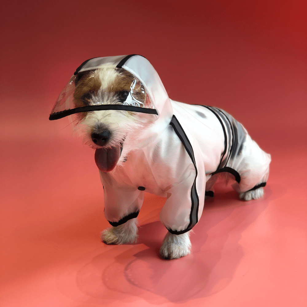 Barkbutler x Fofos Four Leg Black Raincoat for Dogs (Button Up Style) Dogs-Clothing & Accessories Barkbutler XXXL