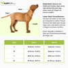 Whoof Whoof Full Body Three Layer Belt Harness for Dogs (Black)
